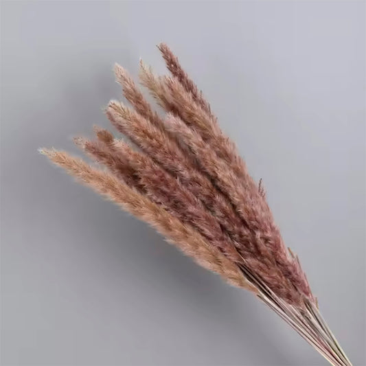 Espigas Secas Marrón: Elegancia Natural para tu Hogar | Compra Online