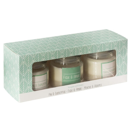 Set de 3 velas de cristal perfumadas 80gr - Oma Home